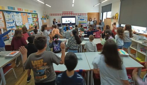 Foto_5_abelha
