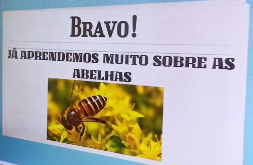Foto_7_abelha