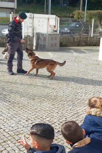 GrupoCinotécnico_Foto1