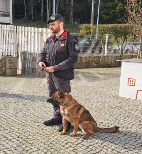 GrupoCinotécnico_Foto2