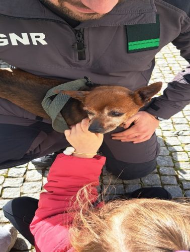 GrupoCinotécnico_Foto4