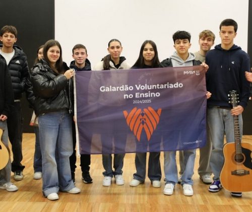 HastearBandeiraVoluntariado_2