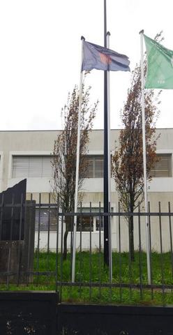 HastearBandeira_Voluntariado_3