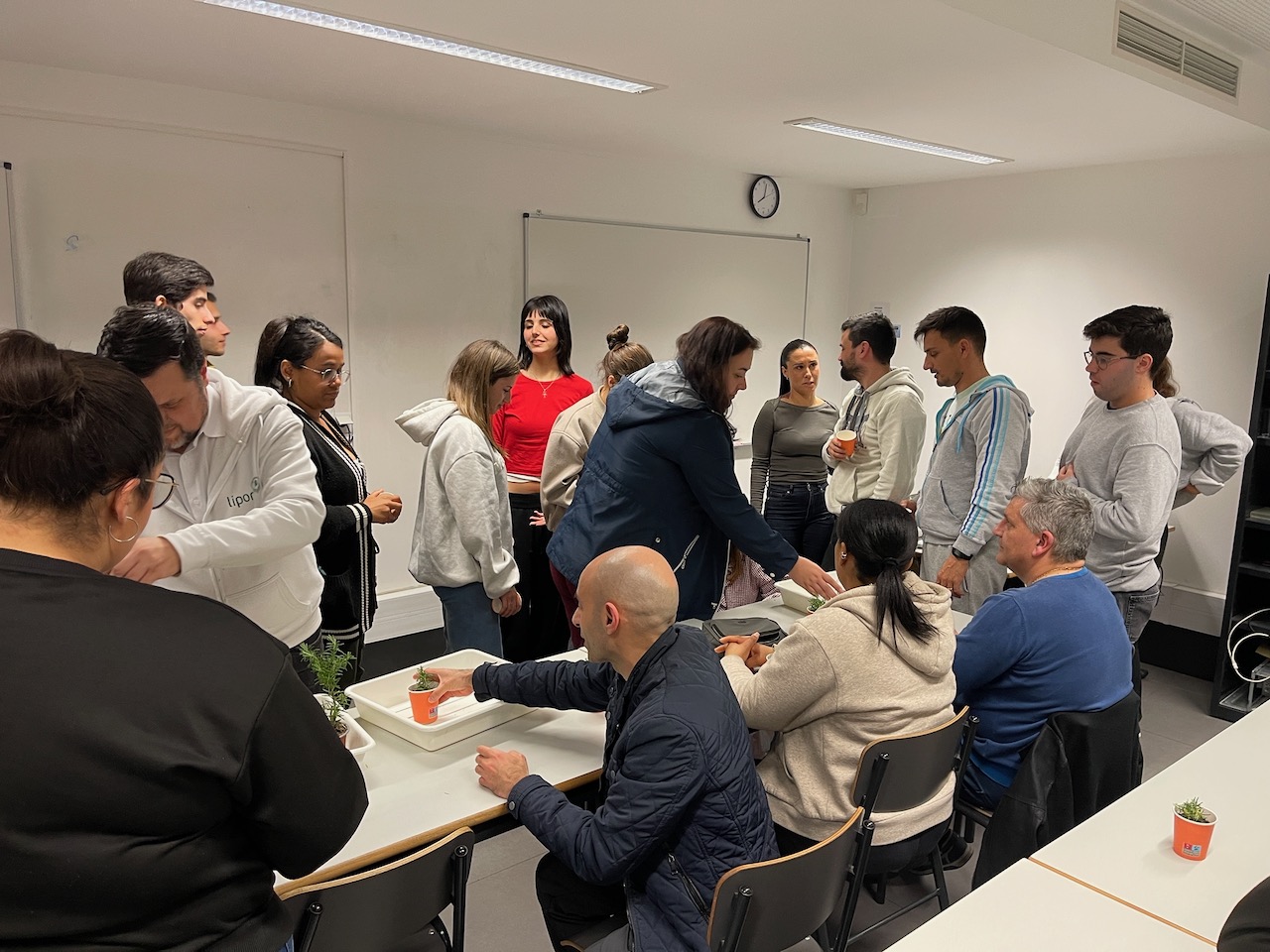 Lipor Plantar Oxigénio - 5