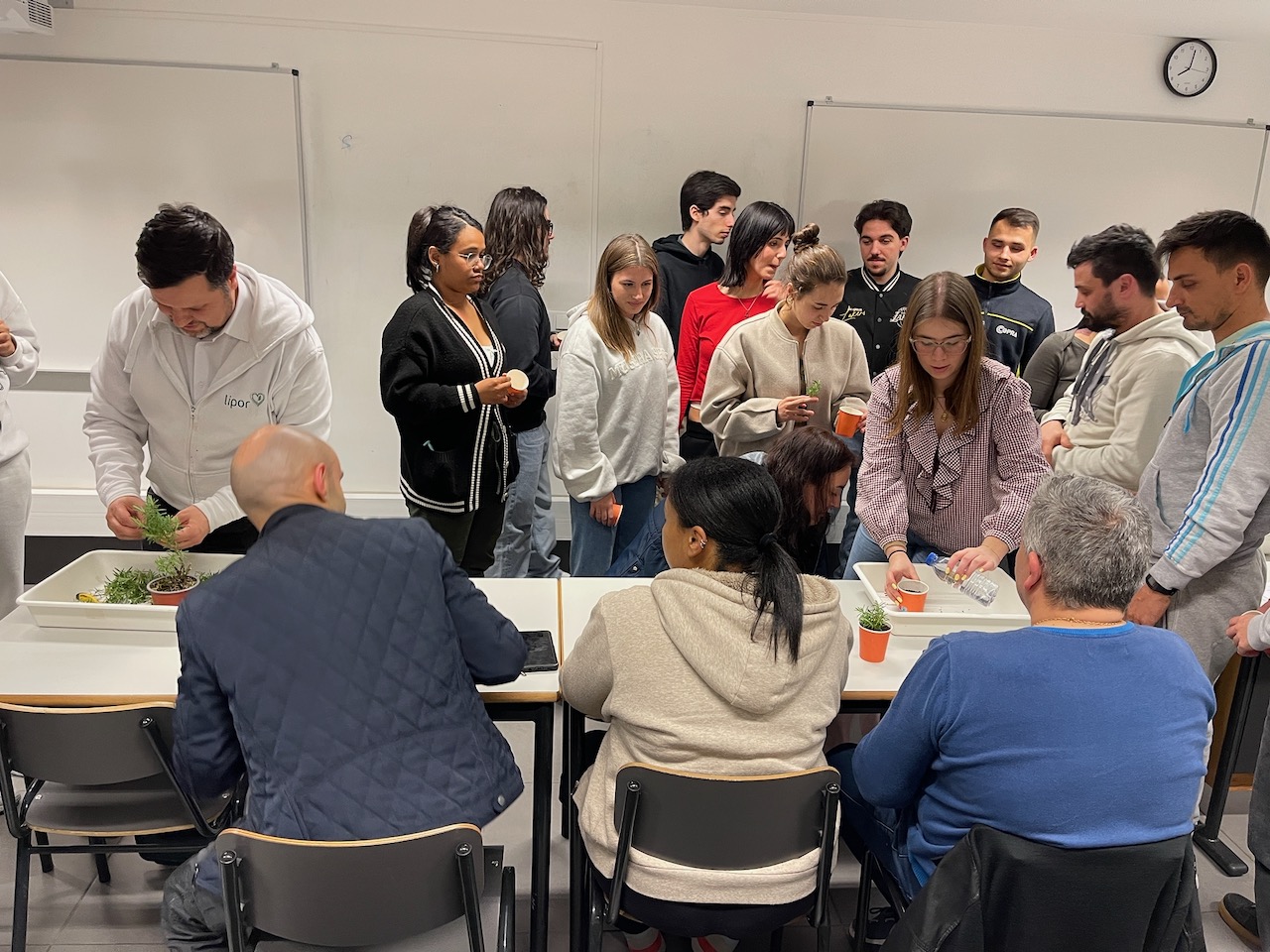 Lipor Plantar Oxigénio - 6